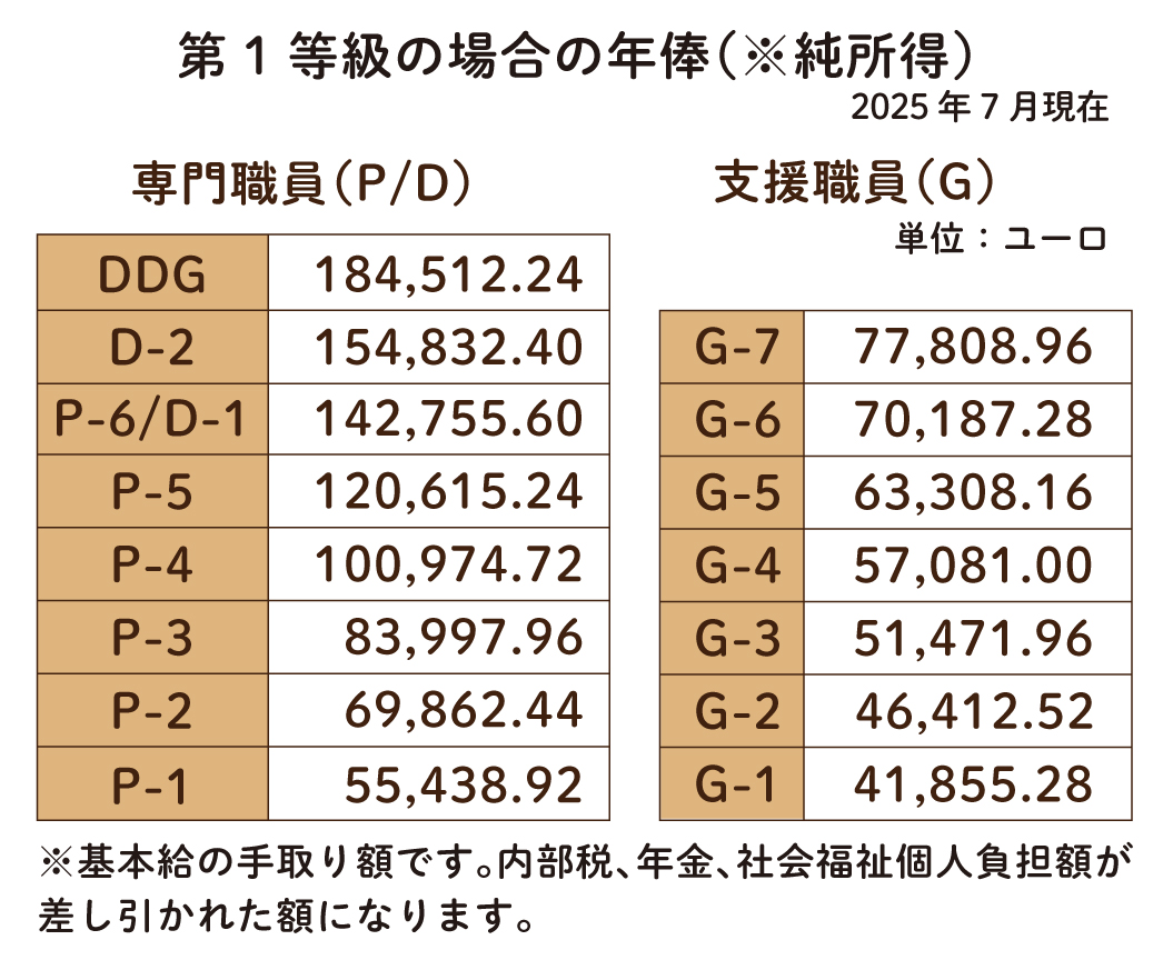 給与体系の概略