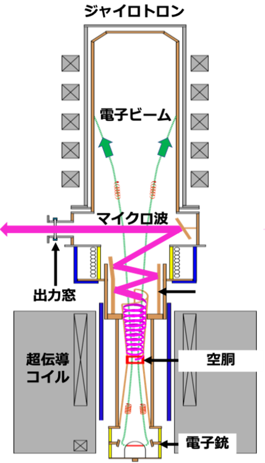 ジャイロトロンの断面図